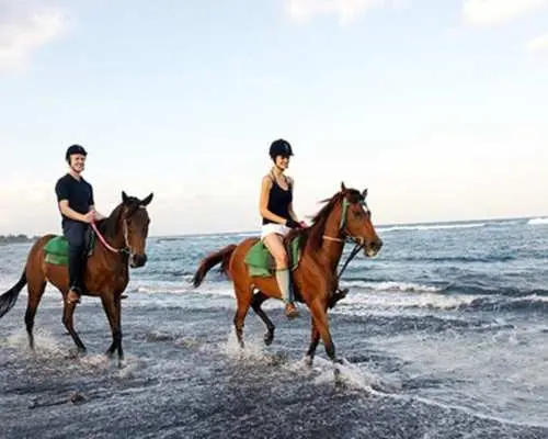Bali : Horseback Riding Adventure with Hotel Transfer