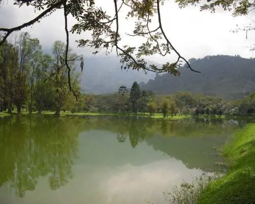 Penang Day Trip : Taiping & Traditional Crafts with Hotel Pick up & Drop off Service