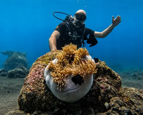USAT Liberty Shipwreck Beginner Dive & Private Guide