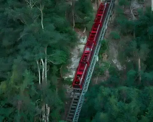 澳洲|藍山國家公園+費瑟戴爾野生動物園一日遊【搭乘藍山三種纜車/動物園親近動物/11精緻小團】