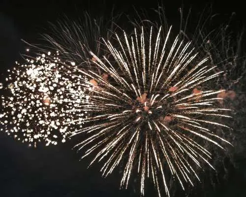 【期間限定オファー - 8月8日】宇都宮花火大会日帰りツアー｜川越小江戸＋花火大会｜東京発（英語・中国語ガイド付きツアー）