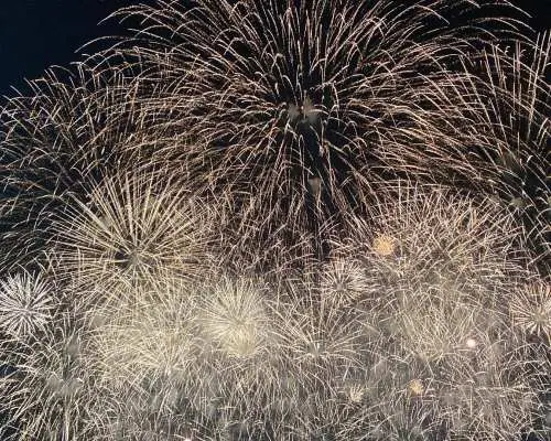 【秋季花火推荐】常总鬼怒川花火大会（约22000发）｜国营常陆海滨公园（含门票）｜东京出发