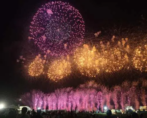 【9月26日限定】大洗海上花火大会（海上烟花20000发）｜专车往返直达｜含海滨公园门票