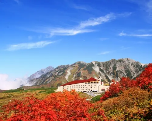 【名古屋発】立山黒部アルプスルート、白川郷合掌造り村、飛騨高山古都、群城八幡古都、温泉（夏の避暑地／紅葉狩り）を巡る2日間ツアー