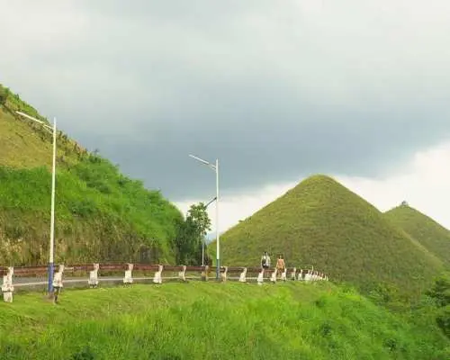 Bohol | Chocolate Hills, Tarsiers, and Loboc River Day Tour | Philippines
