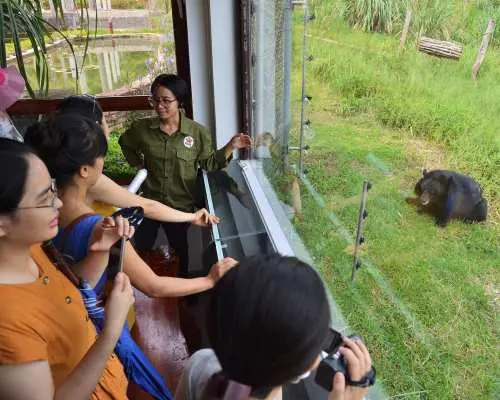 Ninh Binh Day Tour: Trang An Boat Ride, Hoa Lu & Bear Sanctuary
