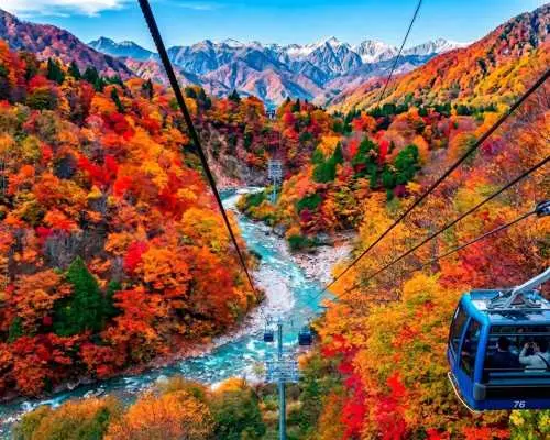 東京出發｜日本三大峽谷清津峽・東洋尼加拉瀑布吹割瀑布・八海山纜車（雲海絕景）／苗場 Dragondola 天空纜車（紅葉季限定）・溫泉2日遊