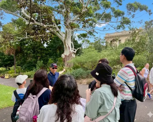 雪梨皇家植物園・新南威爾斯美術館・澳洲博物館中文徒步導覽｜尋找幸福｜10人內精品小團