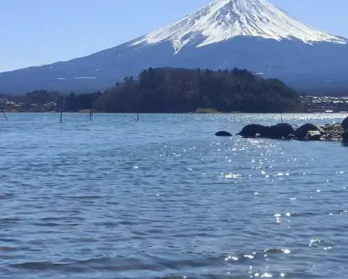 东京包车｜富士山・河口湖・忍野八海私人包车一日游｜路线自由搭配・中英日司机