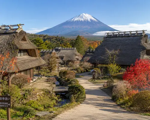 东京包车｜富士山・河口湖・忍野八海私人包车一日游｜路线自由搭配・中英日司机