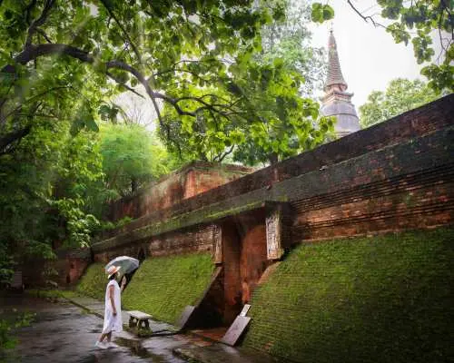 Doi Suthep, Wat Pha Lat, Wat Umong & Baan Kang Wat Half Day Trip | Chiang Mai