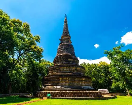 Doi Suthep, Wat Pha Lat, Wat Umong & Baan Kang Wat Half Day Trip | Chiang Mai
