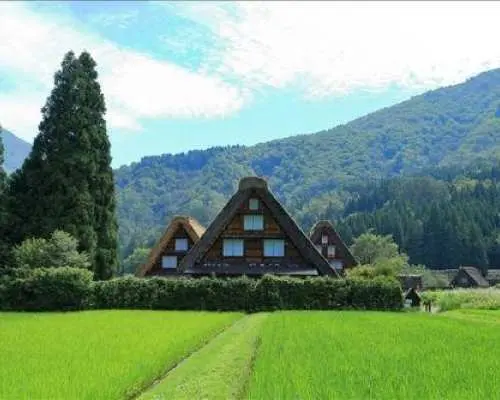 中部岐阜富山2日游 |白川乡与飞驒高山|俱乐部旅游特别活动「月见之尾原」2天[名古屋站出发]