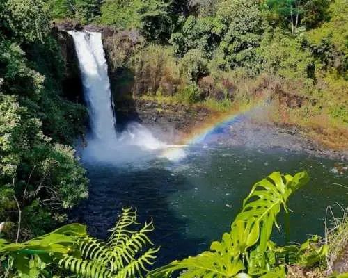 Hilo Arrival/Departure | Big Island Hawaii Day Trip | Black Sand Beach | Rainbow Falls | Hawaii Volcanoes National Park | Hilo Hotel/Airport Transfer