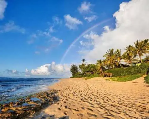 Hawaii, USA | Oahu Grand Island Tour | Koolau Valley | Macadamia Nut Farm | Sunset Beach | Dole Pineapple Plantation
