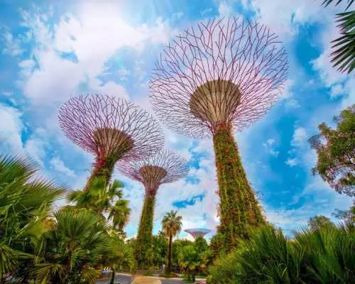 Singapore: Icons of the Lion City with Gardens by the Bay | Singapore