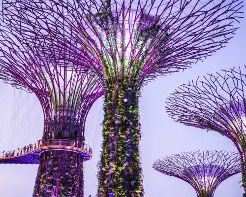 Singapore: Icons of the Lion City with Gardens by the Bay | Singapore