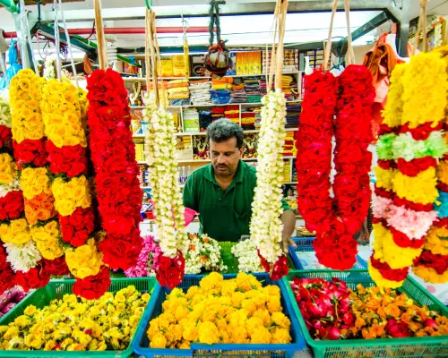 Singapore Chinatown, Little India and Local Flavours Guided Tour | Singapore