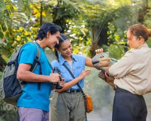 Singapore: Entry Ticket to Gardens by the Bay and Jurassic World with Hotel Pick up | Singapore