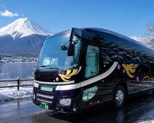 Kyushu & Fukuoka Private Tour | Departure/End of Day/Multi-Day Tours from Any Location in Fukuoka, Kumamoto, Oita, Nagasaki, Miyazaki, Kagoshima, or Kyushu / Chinese-Speaking Driver (Licensed Green-License Vehicles)