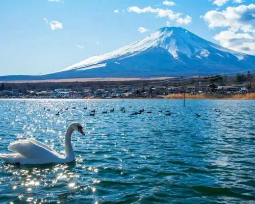 Japan Private Charter Day Tour: Tokyo City, Mt. Fuji, Hakone, Kamakura, Izu, Atami, Karuizawa & Airport Transfer