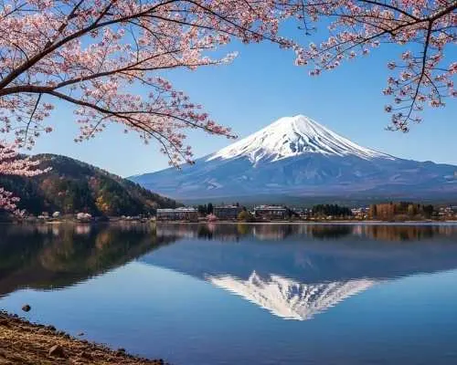 Japan Private Charter Day Tour: Tokyo City, Mt. Fuji, Hakone, Kamakura, Izu, Atami, Karuizawa & Airport Transfer