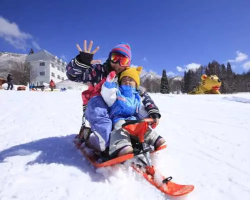 나가노 류오 스키장 오전 왕복 버스 + 리프트권 세트 예약 (신주쿠 출발)