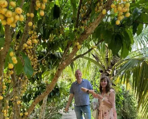 Ho Chi Minh | MAX 12 - 1-Day Mekong Delta Cai Rang Floating Market, Ancient House and Cu Chi Tunnels Tour with Pancake Cooking, Tapioca & Cake | Departure from HCM
