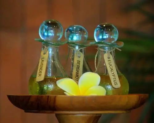 峇里島塞米亞克 Botanika Spa & Wellness 水療中心，提供免費接送服務