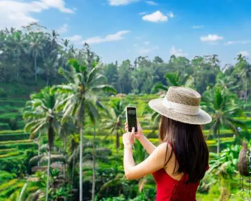 Tegenungan Waterfall, Batuan Temple, Monkey Forest, Tegallalang Rice Terrace | Ubud Highlight Tour