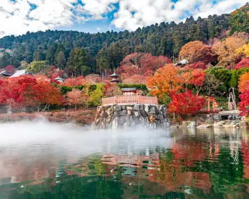 【大阪発・1名様からグループツアー可】京都のあらゆる風景に恋する｜美山合掌造り集落、勝尾寺、竹林、そして幸運を呼ぶ野宮神社を巡るロマンチックな日帰り旅。