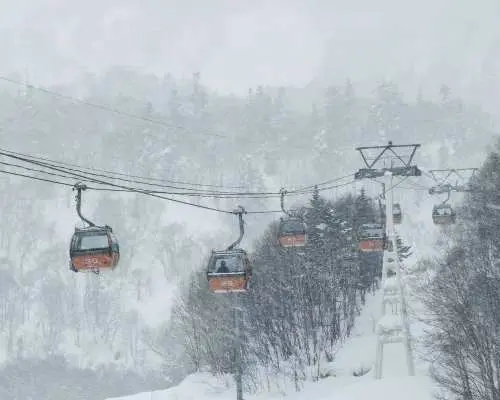 北海道滑雪場接送|新千歲/札幌出發｜二世古/比羅夫/花園/留壽都/新雪谷/富良野/喜樂樂/札幌國際滑雪場/札幌手稻滑雪場｜多車型｜