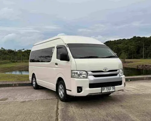 【All-In】私家車包車|印度尼西亞民丹島