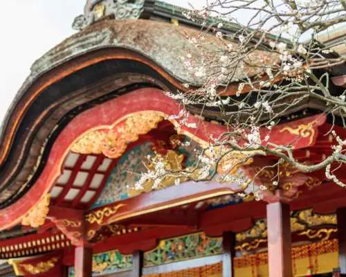 迷你團・九州賞櫻賞梅 5 日｜豐後水道河津櫻花祭＆兩晚溫泉＆皿倉山纜車｜2~8人成行・專車不併團・不含機票
