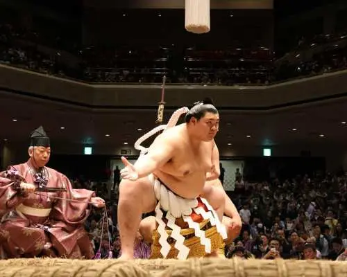 【大人気・大相撲！】大相撲観戦ツアー7月名古屋場所・IGアリーナ・楽しい相撲グッズ付