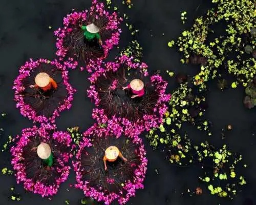 Ninh Binh & Ha Long Bay 2D1N Tour | Hoa Lu, Trang An, Mua Cave & Luxury 5-Star Cruise | Departure From Hanoi