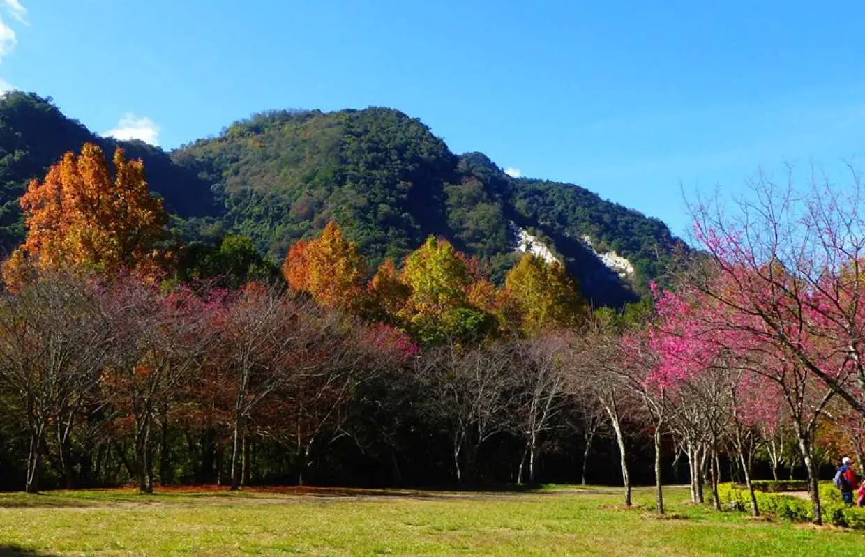 南投二日遊｜霧社商圈＆入住奧萬大森林環保旅館｜台北＆台中出發