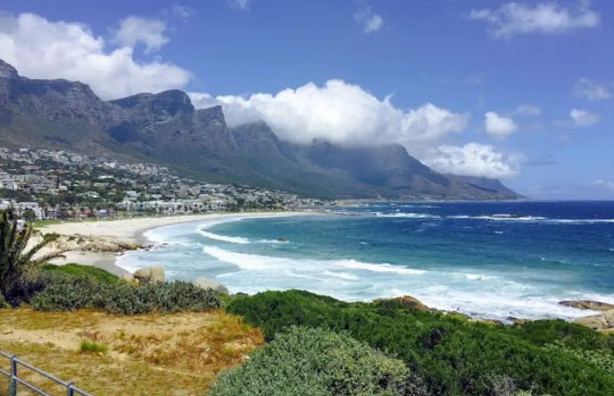 ケープタウン発ケープ半島1日ツアー