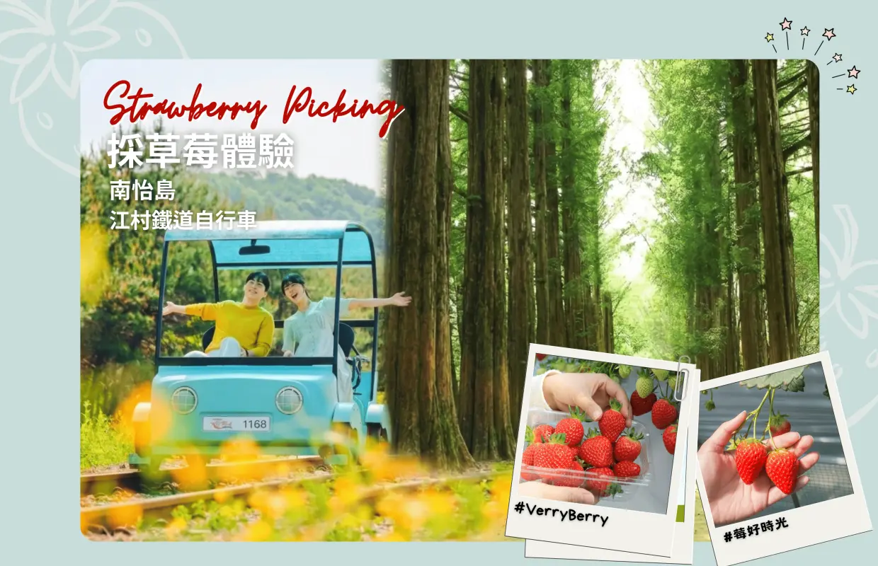 Seoul Suburbs Strawberry Picking Day Tour | Eobi Ice Valley / Gugok Falls Ice Wall / Skiing Experience / Nami Island / Rail Bike / Petite France / Garden of Morning Calm (Departing from Seoul)
