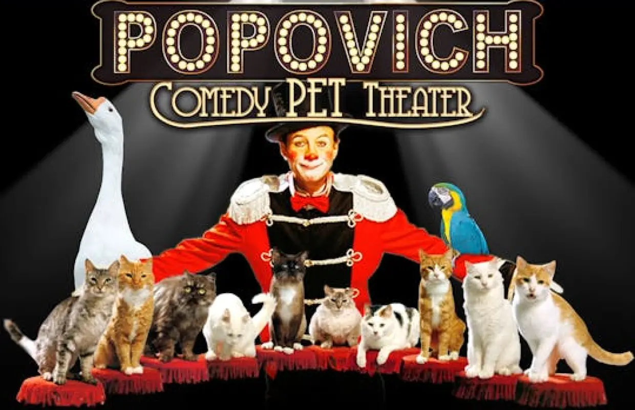Tickets to Popovich Comedy Pet Theater