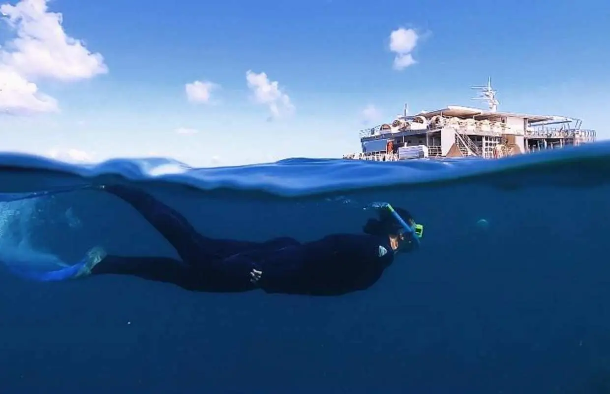 Great Barrier Reef Adventure by Cruise Whitsundays | Queensland
