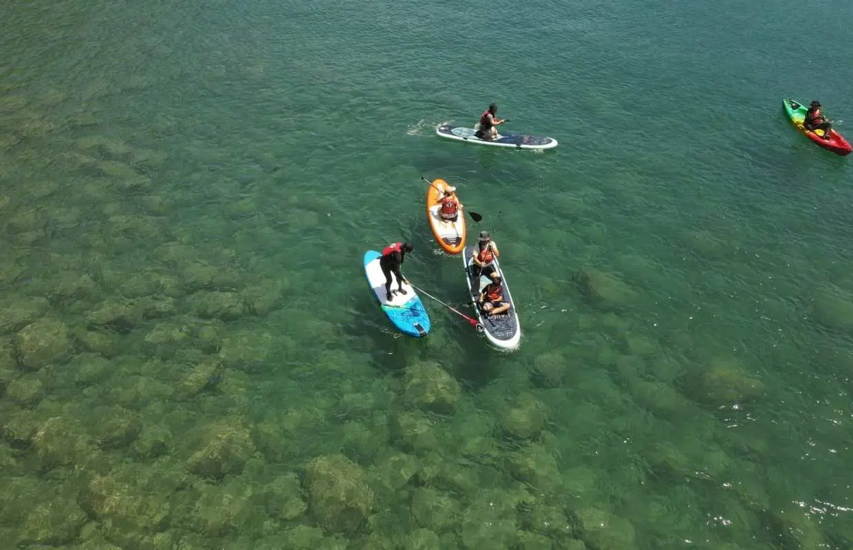 Yilan Dong'ao｜SUP stand-up paddling experience｜Dong'ao Bay cruise, Pink Bird Forest adventure｜Group of 2 people