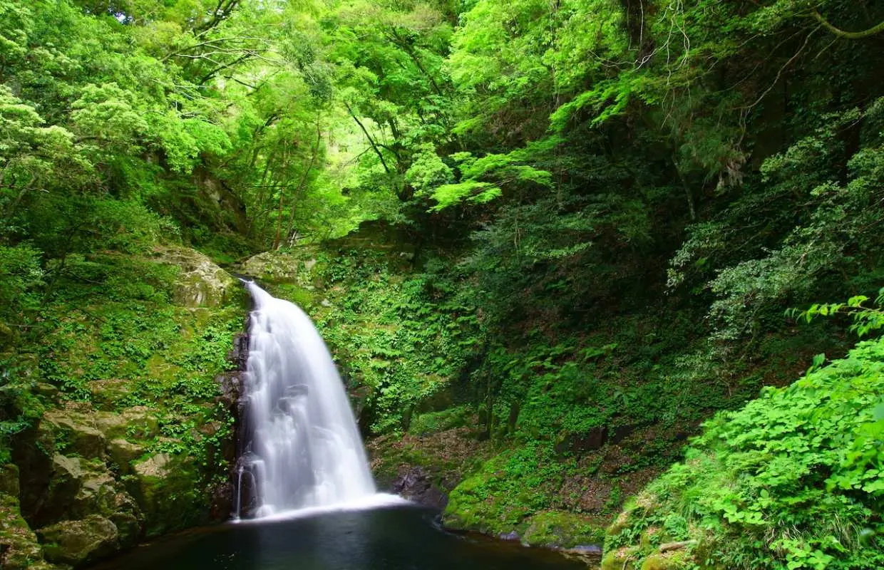 Thác nước trong vắt tại 48 thác Akame ở Nabari, Mie, được bao quanh bởi cây xanh tươi tốt, lý tưởng để đi bộ đường dài và tắm rừng thư giãn.