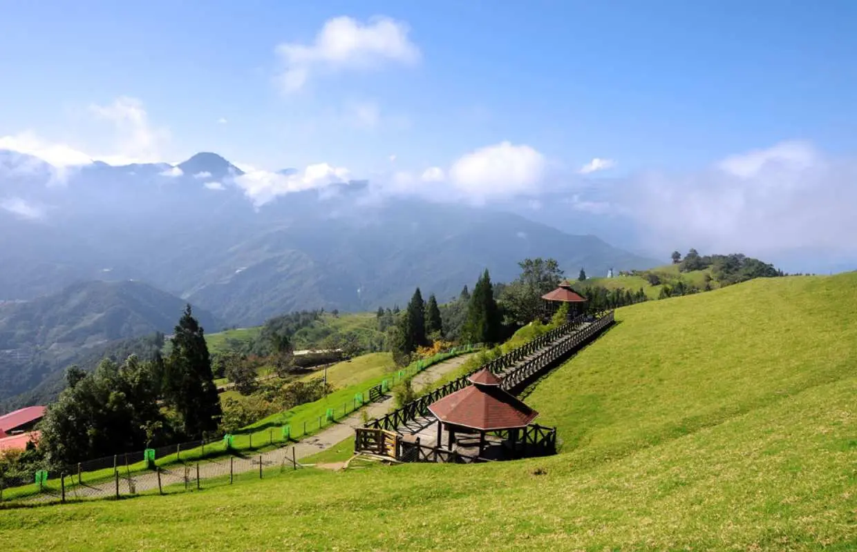 Nantou One-day Tour: Green Green Grasslands, Wuling, and High-speed Rail Round-trip Tickets