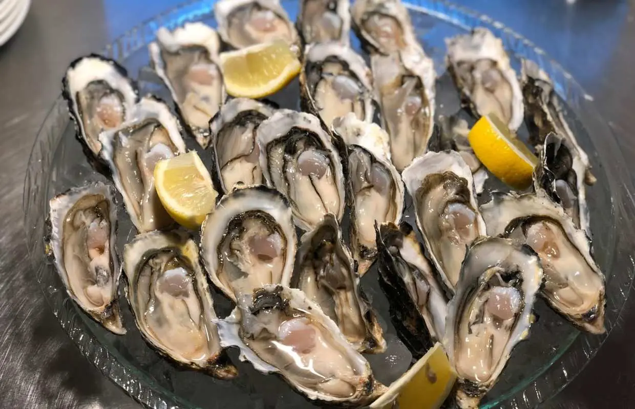 120-Minute All-You-Can-Eat French Oysters Experience at Marco's Oysters | Hong Kong