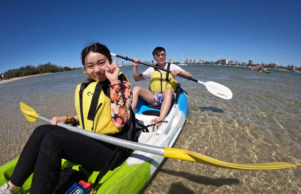 2 小時布羅德沃特海豚皮划艇和浮潛之旅 |昆士蘭州