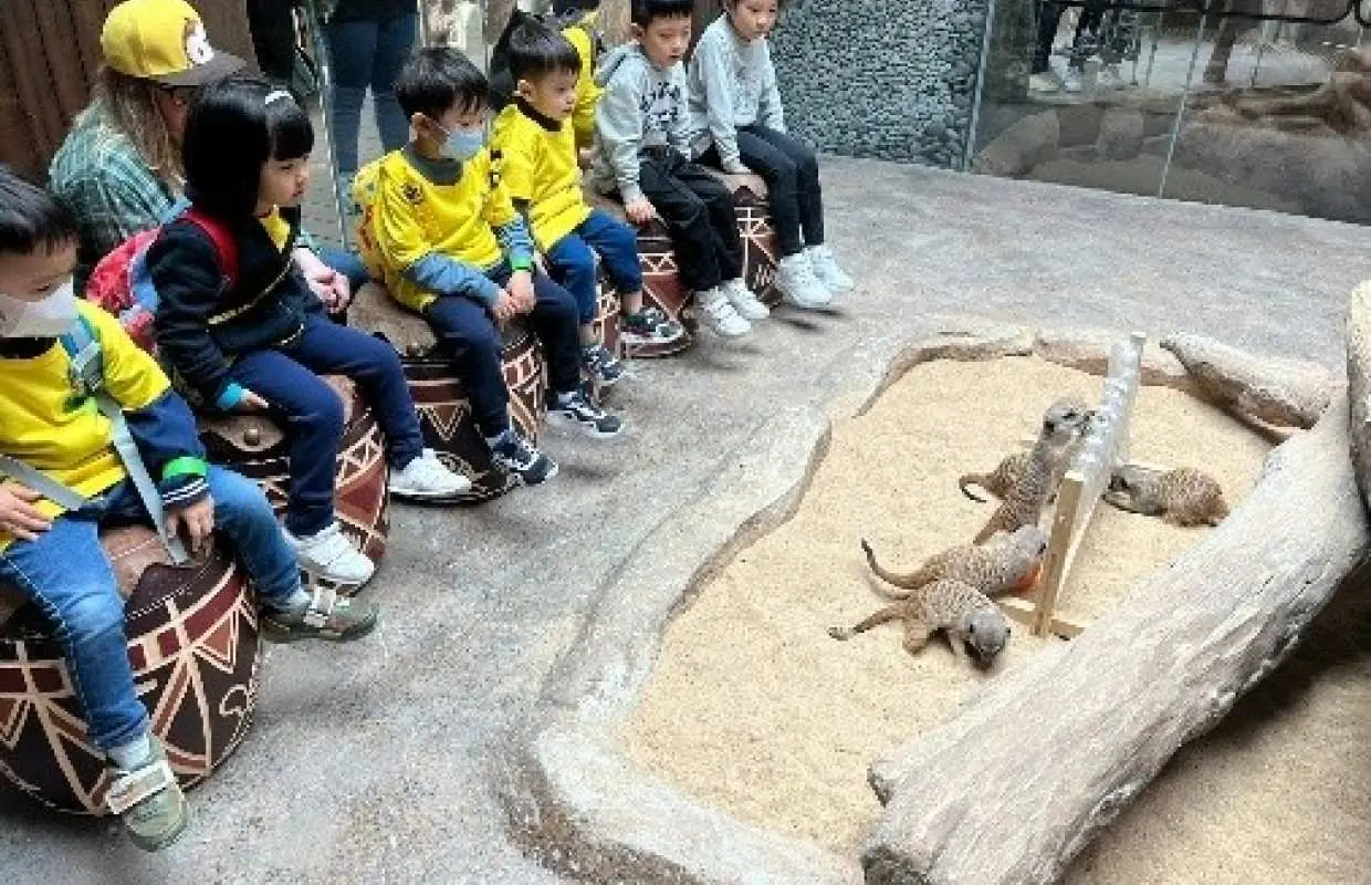 【英語遊學團】海洋公園英語營、STEAM美食探險隊 - 外籍英語導師全程帶領｜小動物互動體驗｜STEAM Workshop + Pizza製作|英文團