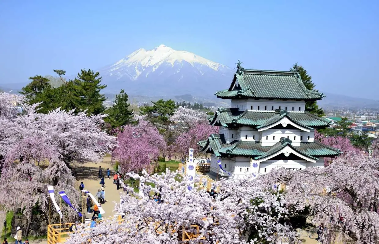 “온천 리조트 호텔에 숙박 1박 2일로 둘러싼 아오모리·아키타·이와테 미치노쿠 3대 벚꽃 2일간” 신칸센 이용·도쿄역 출발