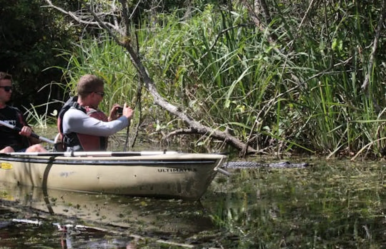 Tour du lịch sinh thái chèo thuyền kayak trong đường hầm ngập mặn của Công viên Quốc gia Everglades