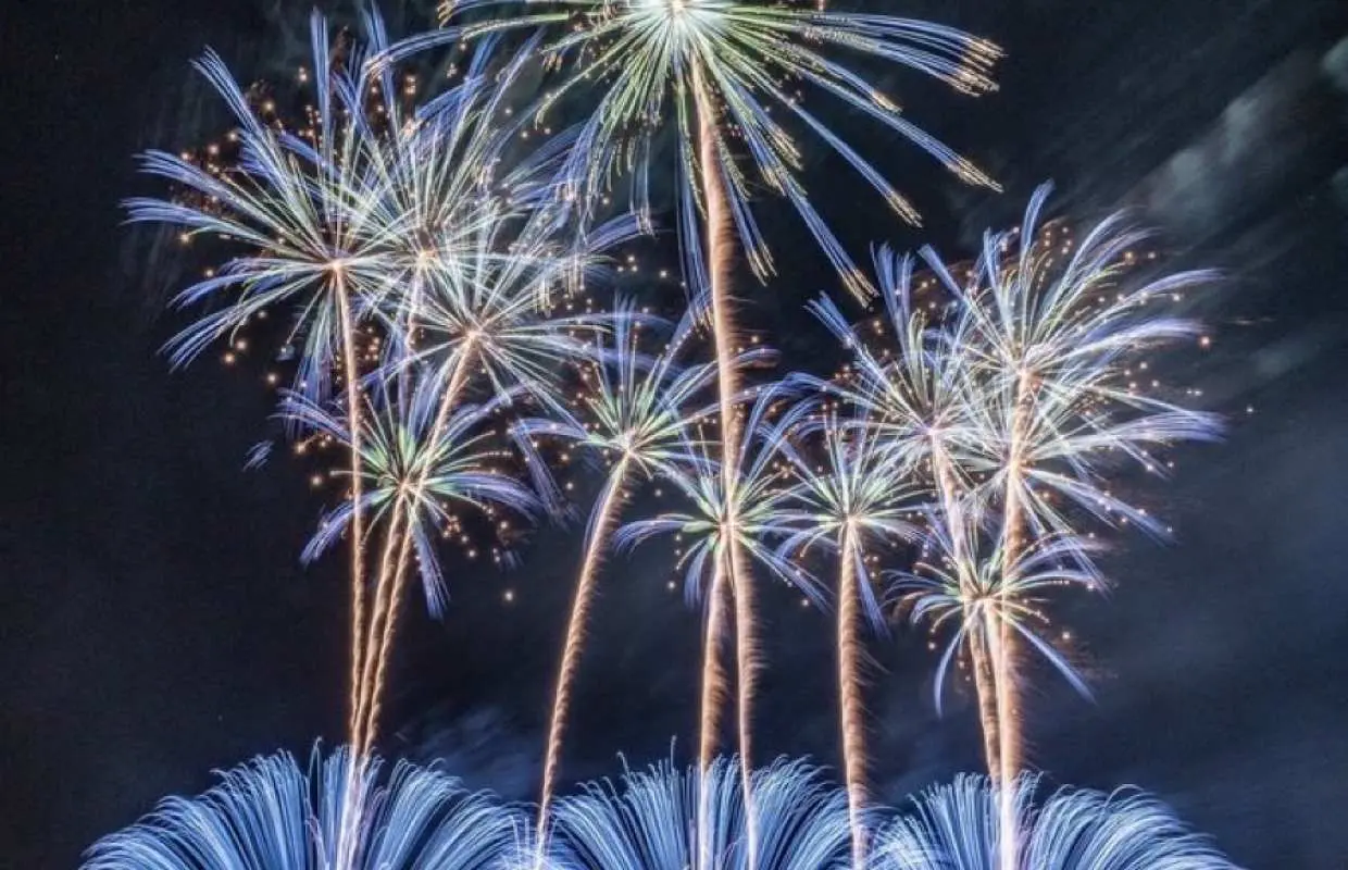 大洗海上花火大会〜OARAI HANABI FES〜　チケット購入